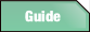 Guide.